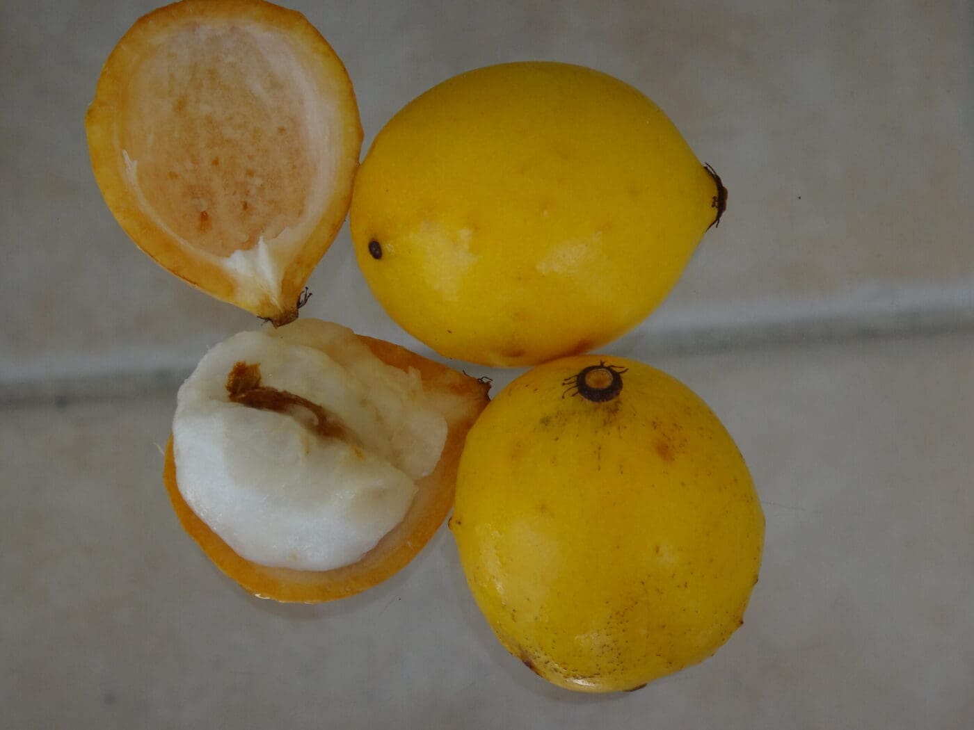 Related to mangosteen, the achachairu is a delicious, sweet and sour fruit with an easy to open rind