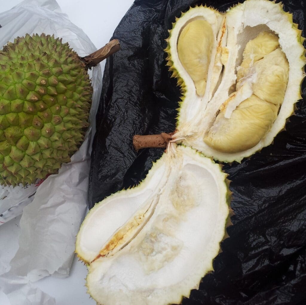 durian
