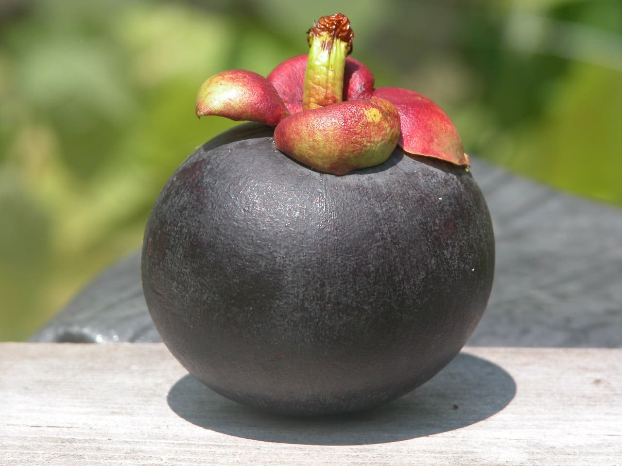 Fresh mangosteen fruit with a smooth, dark purple exterior and a crown of red-green calyx on top, showcasing its tropical origins.